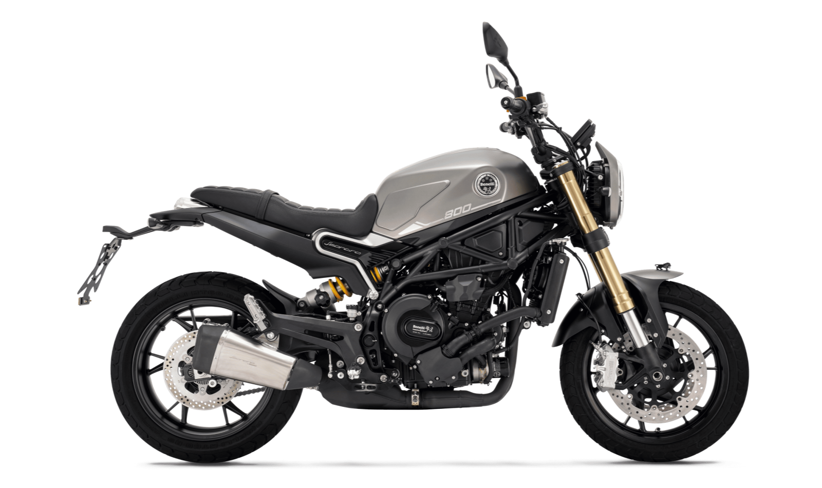 Benelli Leoncino 800